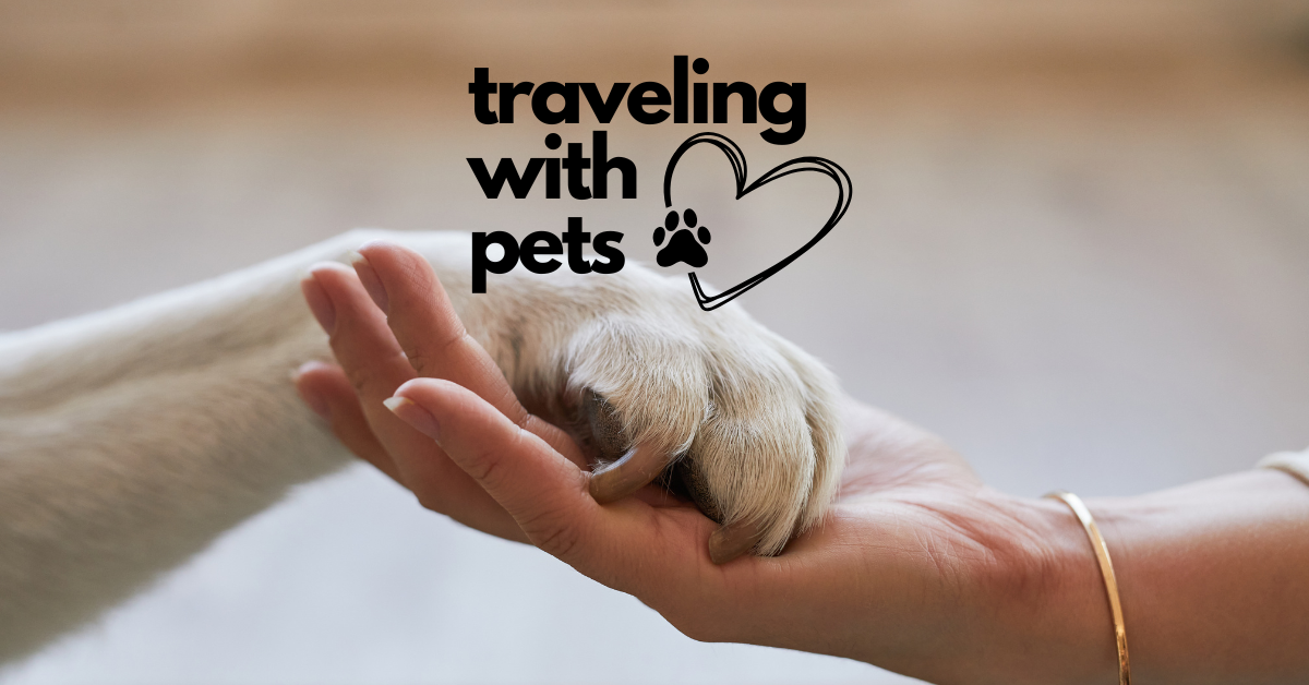 Traveling with Pets: A Purr-fect Journey