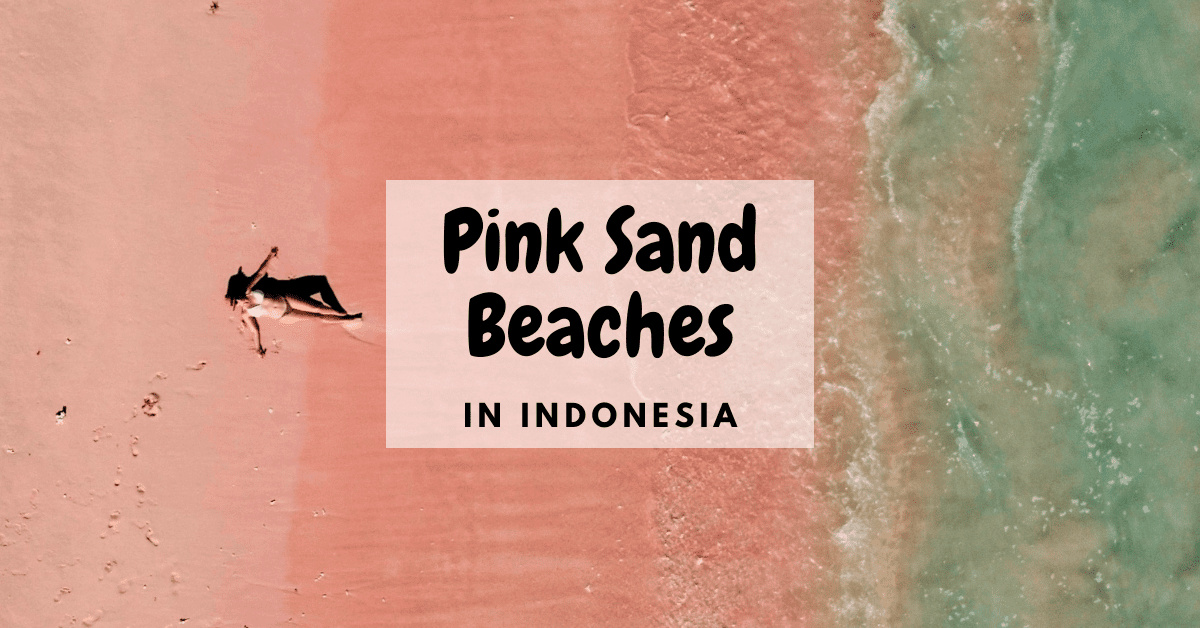Pink Beach and Padar: Day 3 in Komodo